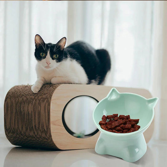 Elevated Cat Bowl