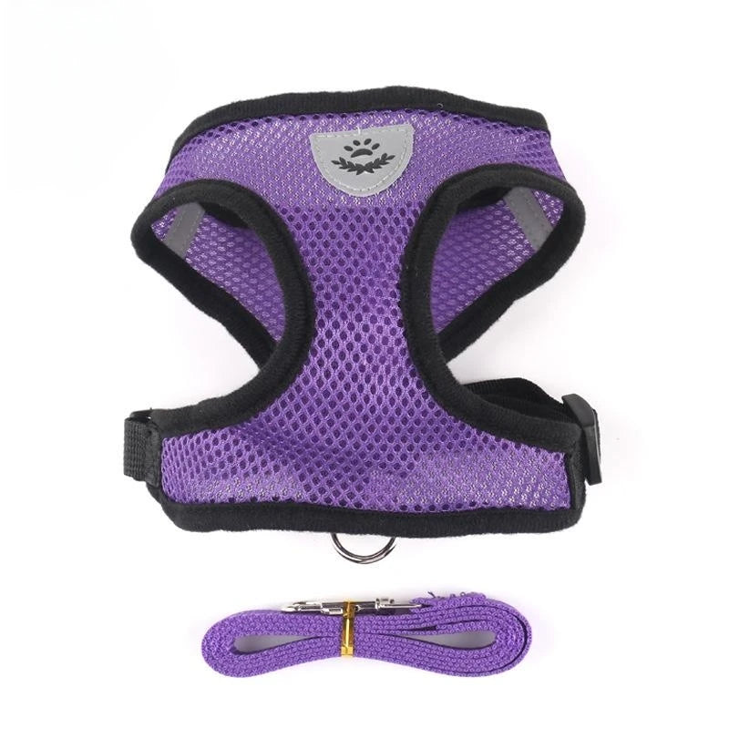 Cat Harness with Lead Leash