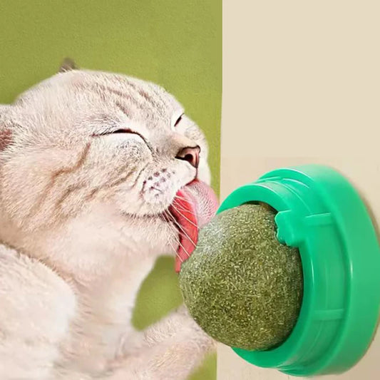 The Catnip Cat Wall Stick-on Ball Toy